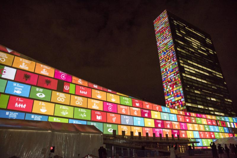 Introductory Activity - Let’s meet all the SDGs!